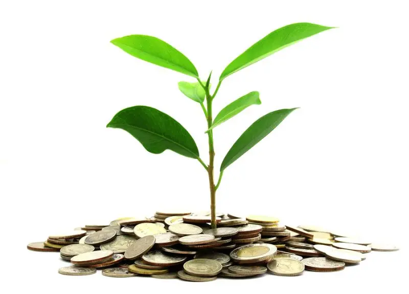 Инвестиции SKF в сохранение экологии | Свежие новости в Нижневартовске