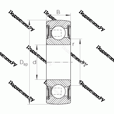 Подшипник 206-NPP-B